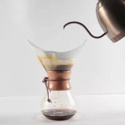 All-In-One 800ml Glass Drip Coffee Brewer and Server with Stainless Steel Kettle