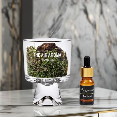 Elegant Home Decor Designer 100ml Glass Moss Diffuser with Scented Oil Customized Color