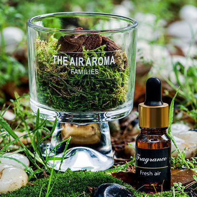 Customized Color Luxury 100ml Moss Reed Diffuser Set with Nature-Inspired Scented Oil