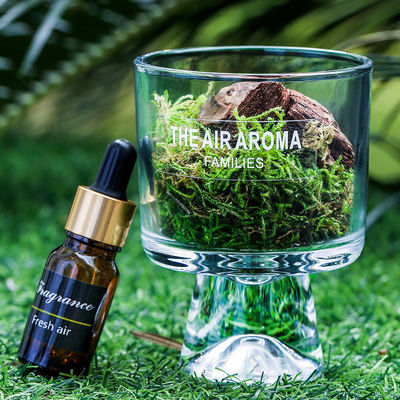 Enhance Your Home with Stylish Flower Shape Scented Oil Diffuser and Custom Fragrance