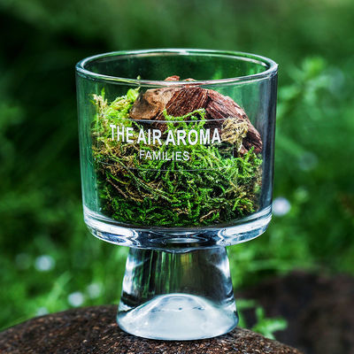 100ml Nature-Inspired Moss Diffuser Creative Scented Oil Diffuser for Keeping Air Fresh