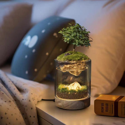 Elegant Clay Ceramic Tabletop Greenhouses Lamp for Moss Terrariums in Modern Design