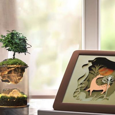 Elegant Clay Ceramic Tabletop Greenhouses Lamp for Moss Terrariums in Modern Design