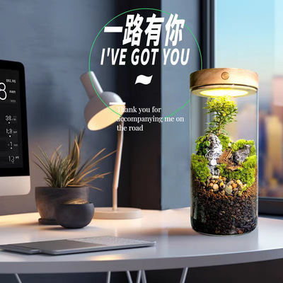 Elegant Clay Ceramic Tabletop Greenhouses Lamp for Moss Terrariums in Modern Design