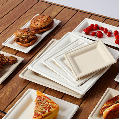 Upgrade Your Table Setting with Eco-Friendly Fancy Bagasse Disposable Dessert Plates