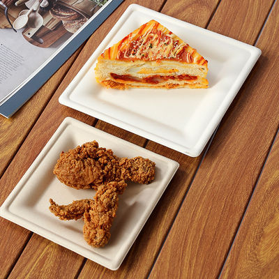 Upgrade Your Table Setting with Eco-Friendly Fancy Bagasse Disposable Dessert Plates