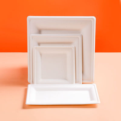 1 Piece Disposable Dinner Plates 14 Inch Unbleached Bagasse Square and Rectangular