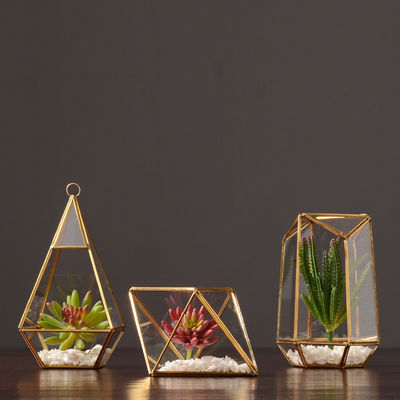 Nordic Style Luxury Home Decor Glass Display Box with Customized Size and Wooden Base