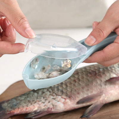 Say Hello to Clean Kitchen Counters with This Manual Fish Scale Scraper