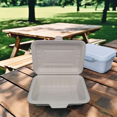 Biodegradable Disposable Food Container Durable Square Plastic Lunch Boxes with Lids