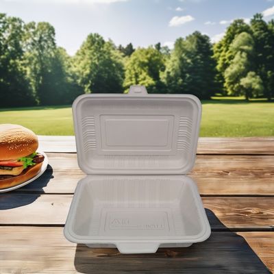 Biodegradable Disposable Food Container Durable Square Plastic Lunch Boxes with Lids