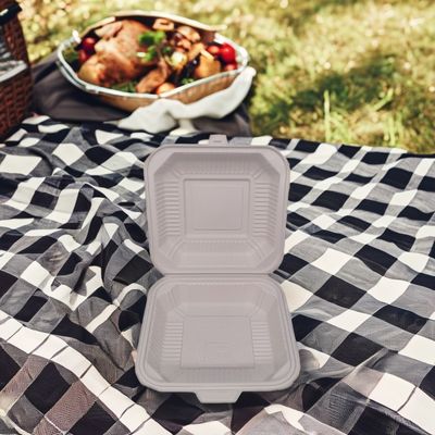 Simplicity Style Biodegradable Disposable Food Container Square Plastic Lunch Boxes