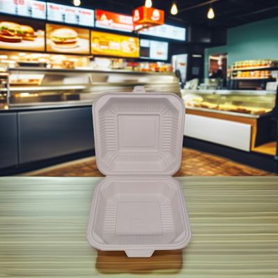 Food Grade Disposable Square Plastic Lunch Box with Lids Microwave Safe To-Go Containers