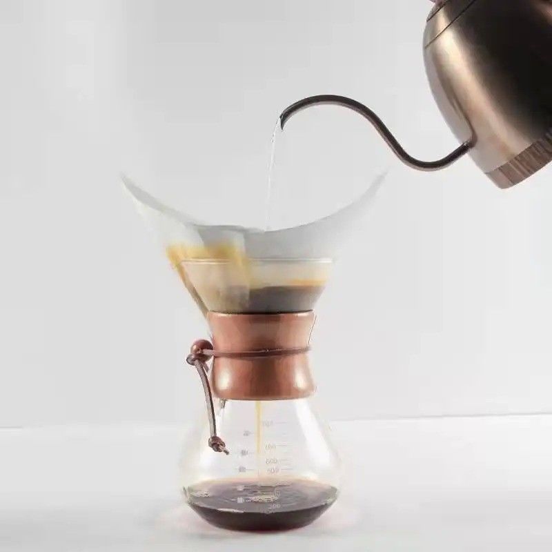 All-In-One 800ml Glass Drip Coffee Brewer and Server with Stainless Steel Kettle