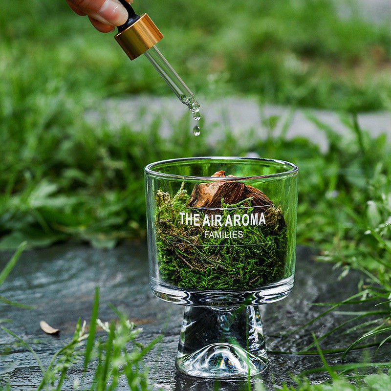 Elegant Home Decor Designer 100ml Glass Moss Diffuser with Scented Oil Customized Color
