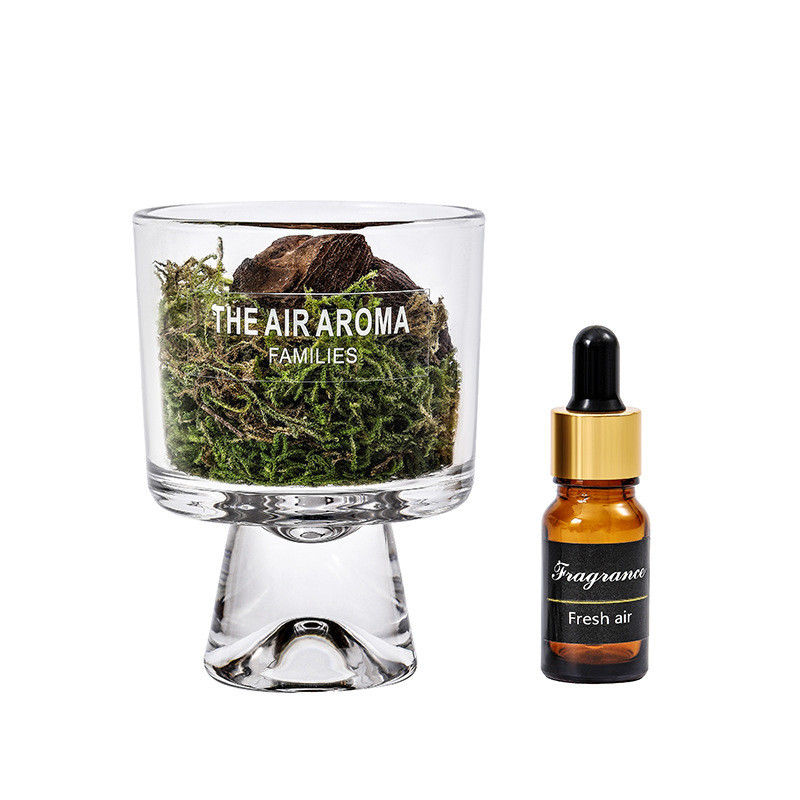 Customized Color Luxury 100ml Moss Reed Diffuser Set with Nature-Inspired Scented Oil