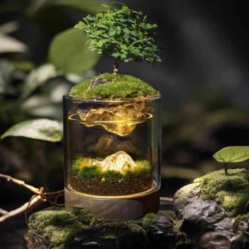 Modern Design Brushwood Terrariums Ideal for Bonsai Floor/Shopping Mall Enthusiasts