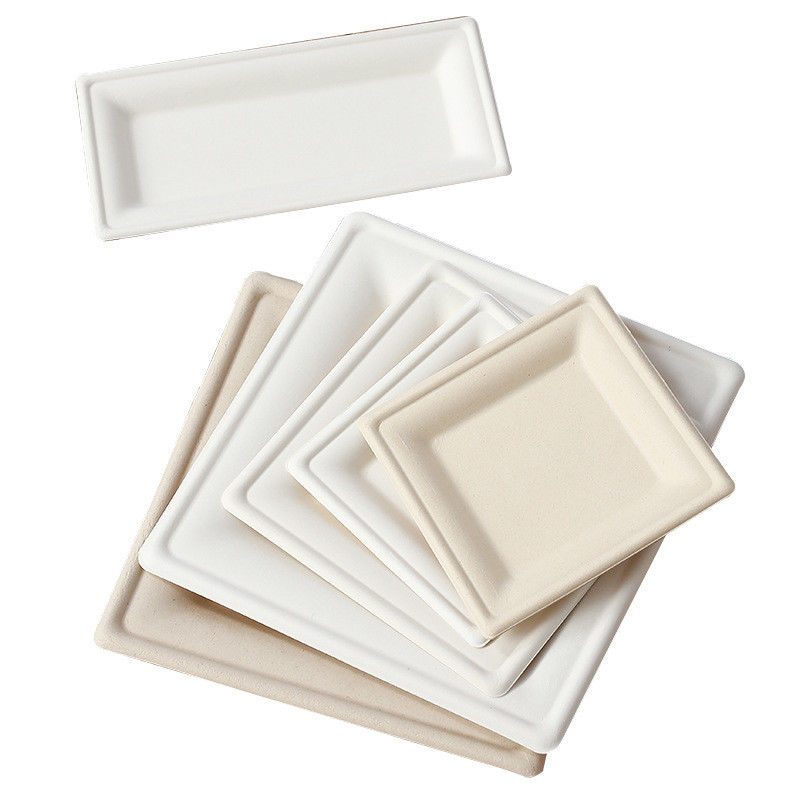 Natural Color Disposable Sugarcane Bagasse Paper Plates for Food With All Accessories